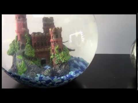 Play video