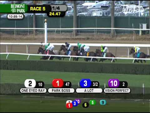 Vision Perfect - 2014 Awad S.