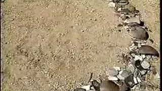 The Soundscapes of Steve Roach