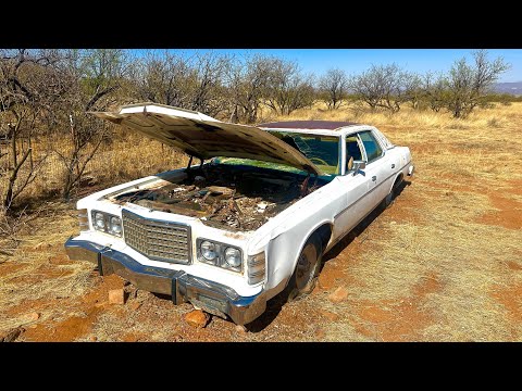 FREE Ford LTD will it RUN and DRIVE after being abandoned 28 years ago?