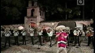 preview picture of video 'Alejandro Rivera -TIERRA DE MIS AMORES- Jul-2000-..mpg'