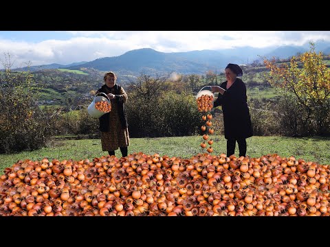 Healthy recipes from forest fruits! Harvesting medlars and making pickle! Chicken salad recipe