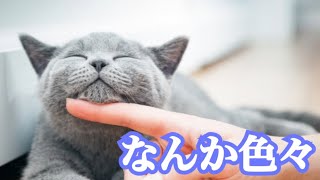 なんか色々やったなぁ〜