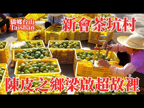 新會Xinhui茶坑村陳皮之鄉香氣瀰漫｜茶坑市場村民都忙著剝曬柑皮｜看到青柑茶的製作過程｜各地小學生帶著任務參觀梁啟超故居｜Chakeng, Liang Qichao's Hometown