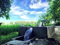 Pinda De Jaye Beautiful Nature Motor Nature Sajjan Adeeb Whatsapp Status Video