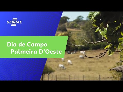 Dia de Campo - Palmeira D'Oeste