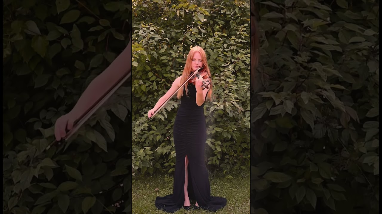 Promotional video thumbnail 2 for Elegant Violin Music