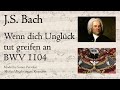 J.S. Bach - Wenn dich Unglück tut greifen an, BWV 1104 - Engler organ, Krzeszów, Hauptwerk
