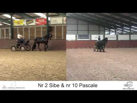 Eindbeoordeling ABFP-test 3 | dinsdag 2 juli 2024