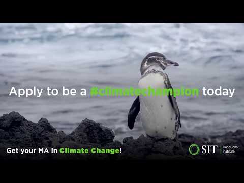 SIT’s new MA in Climate Change and Global Sustainability