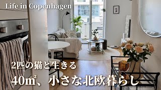 狭小アパートで猫2匹と北欧暮らし🐈40㎡1LDK|ネコ人生の始まり|Life in Copenhagen with our Cats