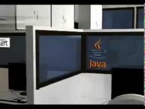 Video Section Image