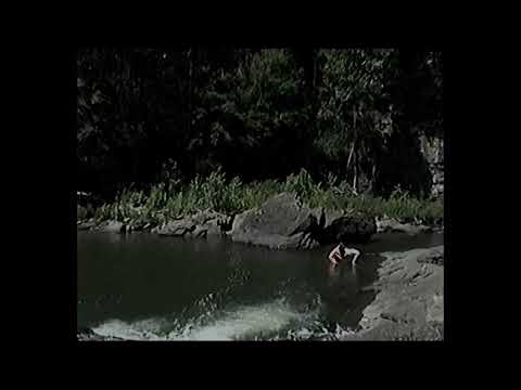 Steinza - Work of God (Official Lyric Video)