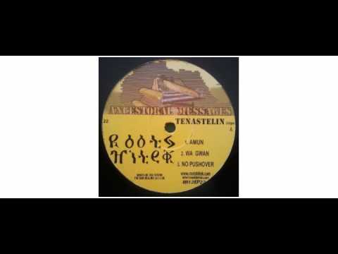Tenastelin - Ancestoral Messages - 12" - Roots Hitek Music