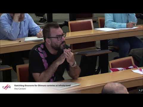 ​Ana Caraiani: Vanishing theorems for Shimura varieties at infinite level