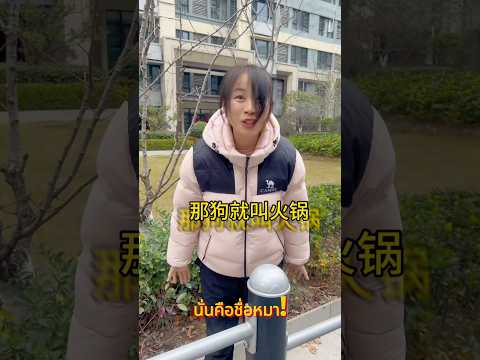 สุนัขตัวนี้เป็นของใคร