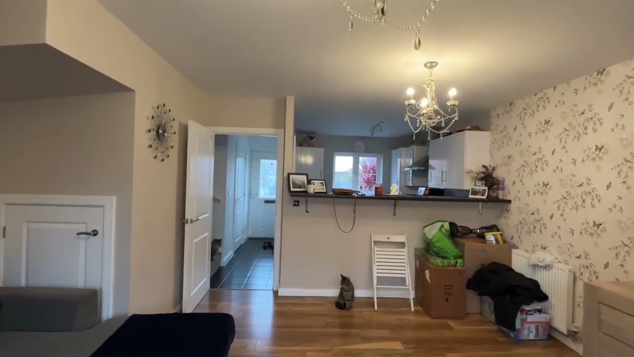 Video Tour