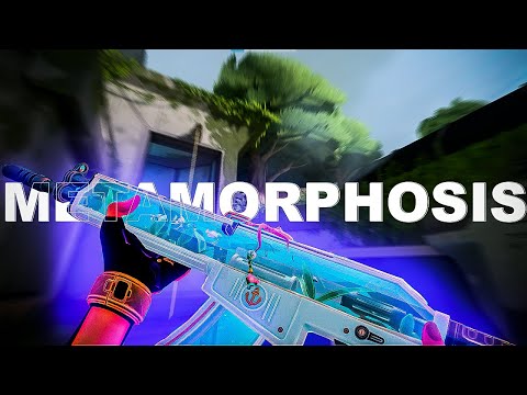 METAMORPHOSIS | highlights de um ascendente