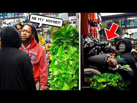Bush prank in the hood gone wrong 