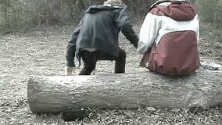 Madeline- Tickle Me Pink