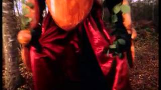 Buffalo Tom   Tree House