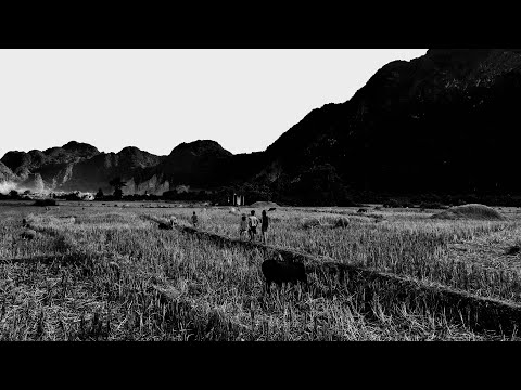 [62] 🏜️ Lovecraft — Przemiana Juana Romero / The Transition of Juan Romero PL (1919)