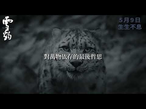 雪豹電影海報