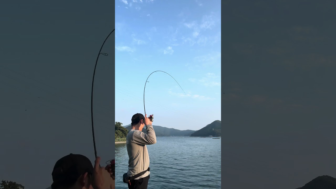 アジングロッドでオオモン #アジング