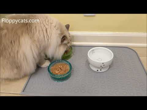 Best Cat Food Mat - WooPet Pet Food Mat Product Review Feature - Floppycats