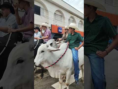 encontro de carreiros em Paraguaçu Mg