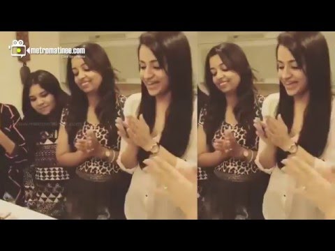 Trisha Birthday Celebrations Party