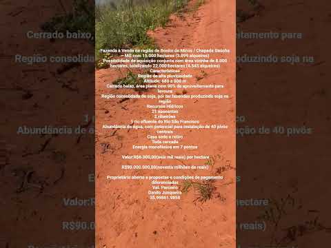 Excelente oportunidade na região da Chapada Gaúcha/ MG