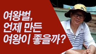 여왕벌, 언제 만든 여왕이 가장 좋을까?