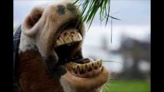 Prelude For Lovers - Fourplay