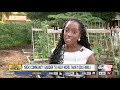 Community Garden To Provide Garden Starter Kits To Ybor City Families