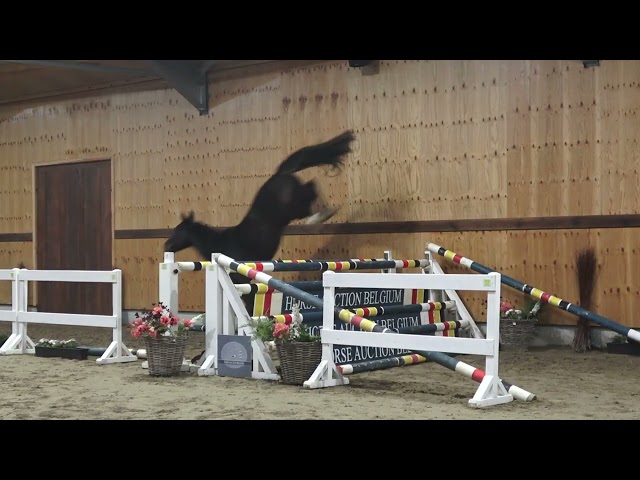 jumping