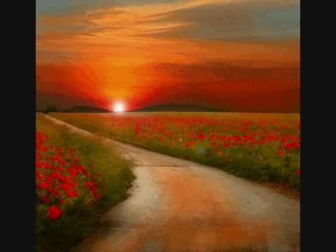 Beyond your Destiny - Petra Berger