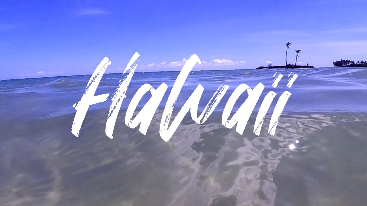 Promotional video thumbnail 2 for ShotsByShawnP - Event Photographer