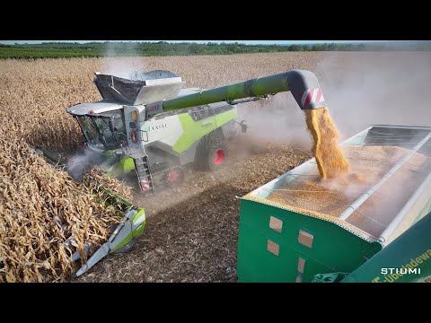 CLAAS LEXION 8900 TT + CONSPEED 12-75C