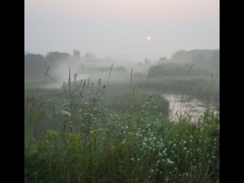 [FREE] Sewerperson x Emo Guitar x Midwest Emo Type Beat 2022 - "Roses"