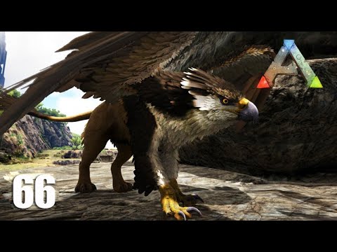 DOMANDO INSANAMENTE UM GRIFO - Você nunca mais vai ver uma doma assim novamente - Ep 66