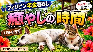 【フィリピンでの日常】猫と犬と年金暮らし