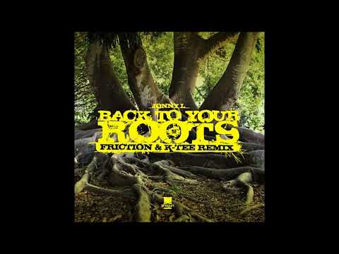 Jonny L - Back To Your Roots (Friction & K-Tee Remix) (Instrumental)