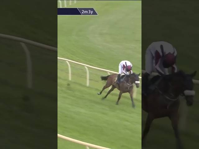 Thumbnail for Post ID: etxRgumQDC0