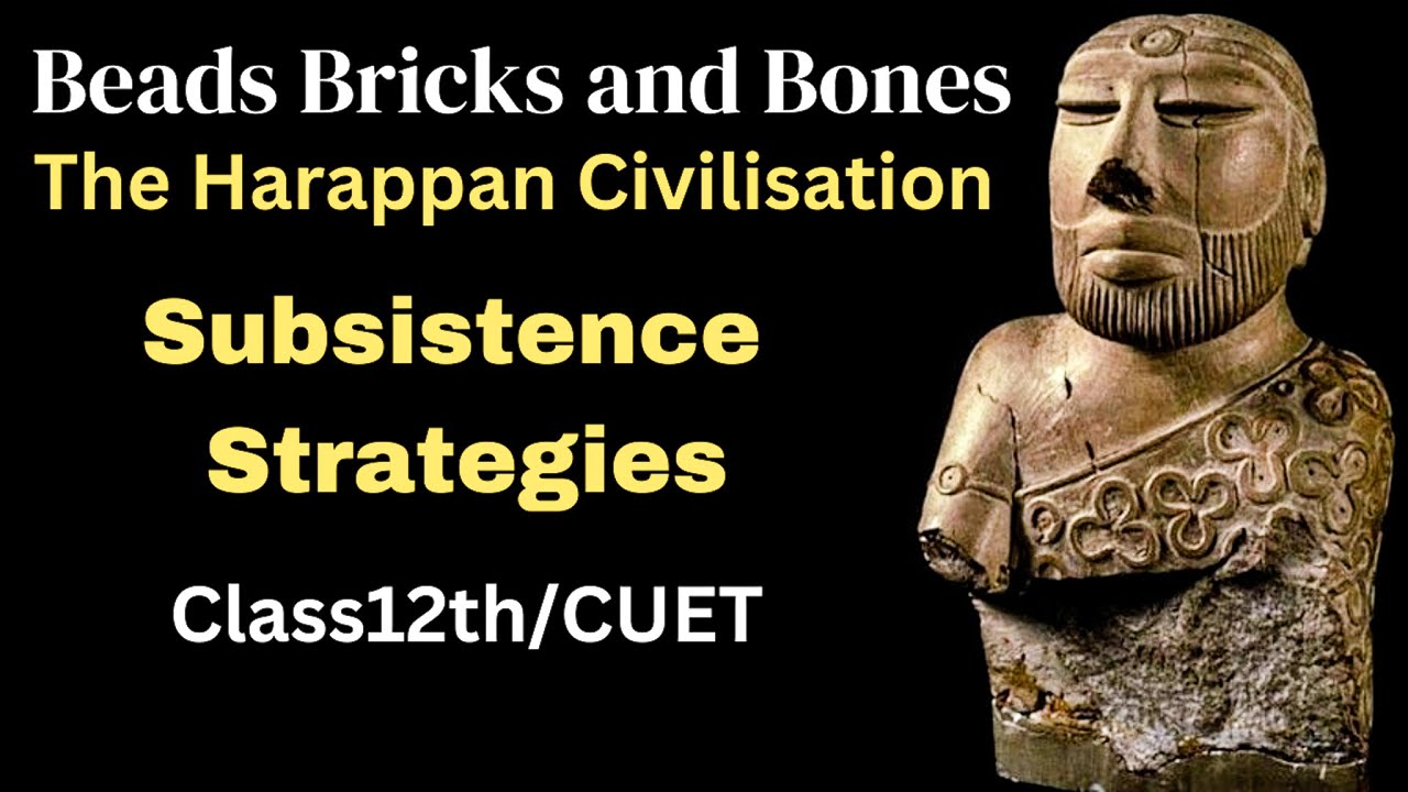 Bricks Beads and Bones | Subsistence Strategies of harappan civilization class 12 | Class 12 History