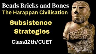 Bricks Beads and Bones | Subsistence Strategies of harappan civilization class 12 | Class 12 History