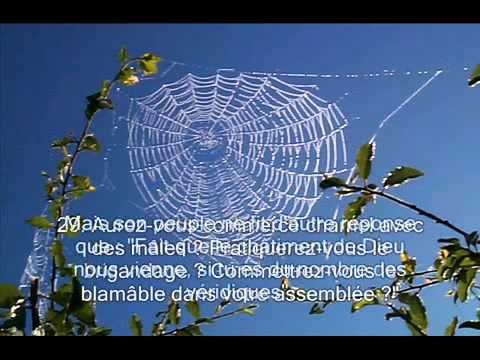 download lagu mp3 mp4 Alankabout, download mp3 Alankabout free downloadn, video klip Alankabout