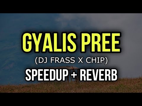DJ FRASS X CHIP - GYALIS PREE (PARTY BUS RIDDIM) - Speedup + Reverb