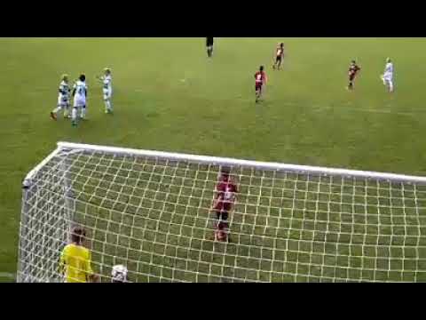 Fox in the box MS8 Tor gegen FCN