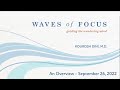 An Overview of Waves of Focus - Guiding the Wandering Mind
